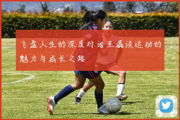 飞盘人生的深度对话王磊谈运动的魅力与成长之路